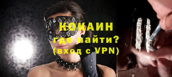 стафф Каменка
