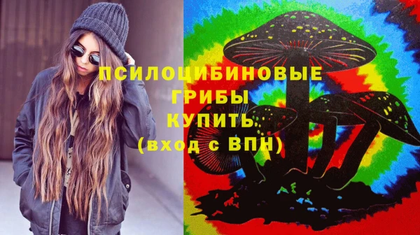 стафф Каменка