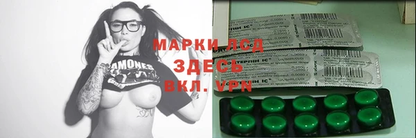стафф Каменка