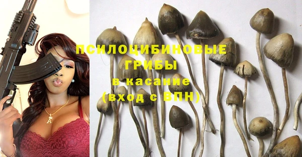 стафф Каменка