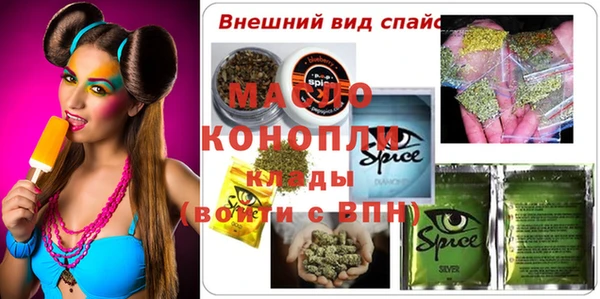 стафф Каменка