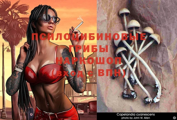 синтетический гашиш Каменск-Шахтинский