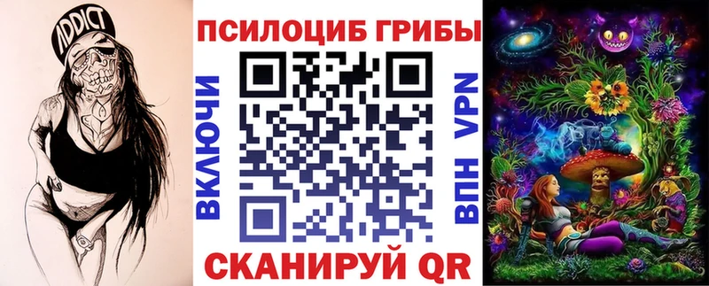 Купить закладки  Бирюсинск  Галлюциногенные грибы Magic Shrooms 